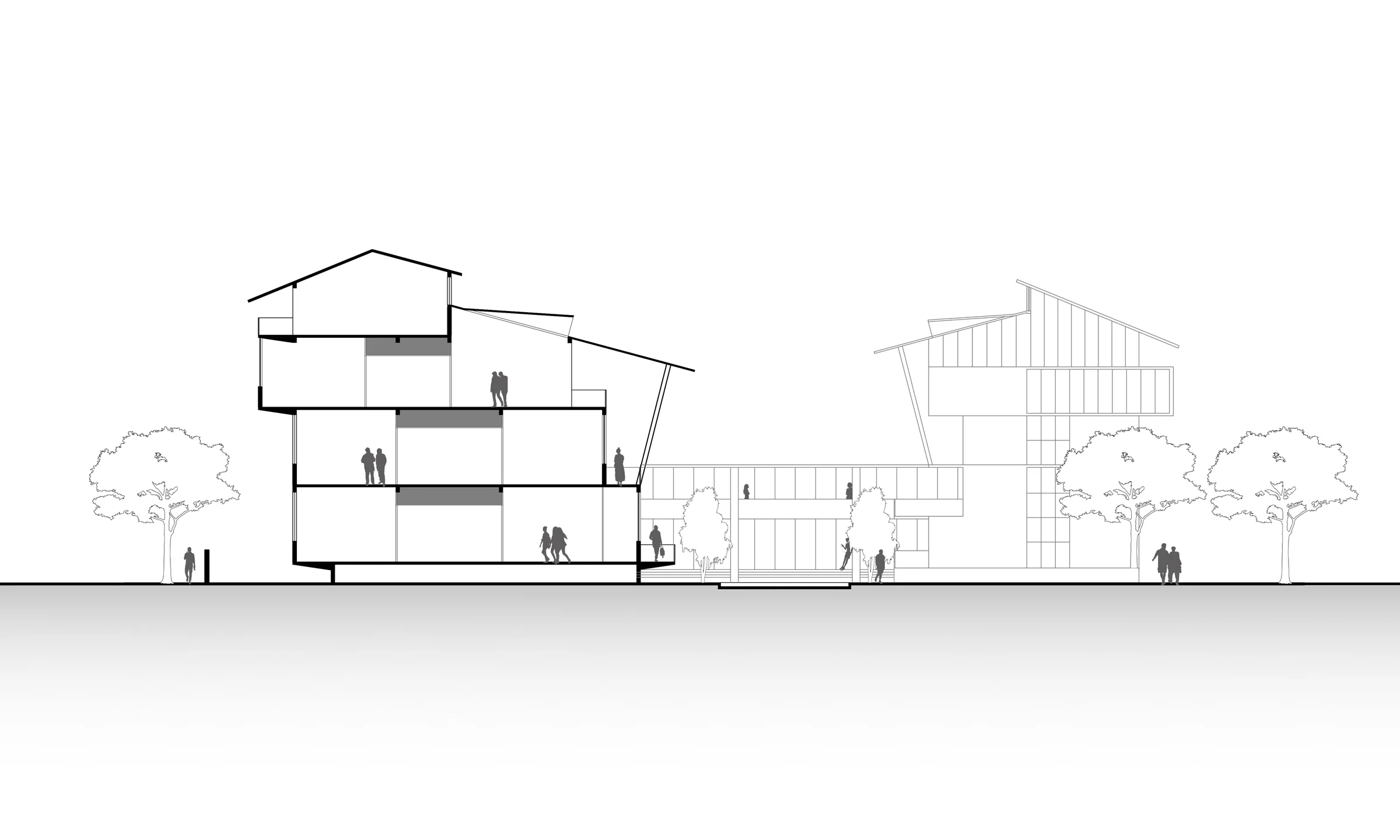 Institute of Bio-resources and Sustainable Development — Section