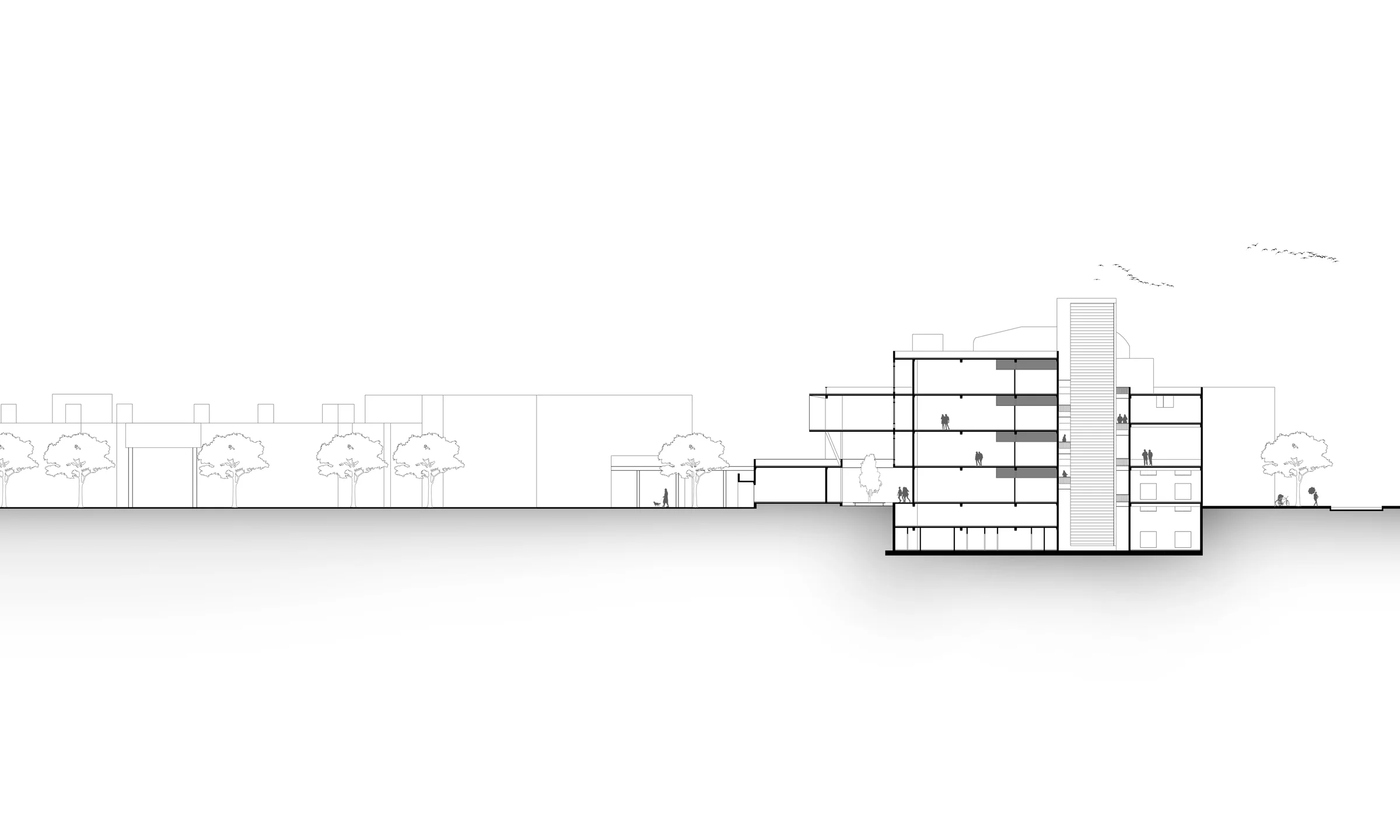 Institute for Stem Cell Biology and Regenerative Medicine — Section