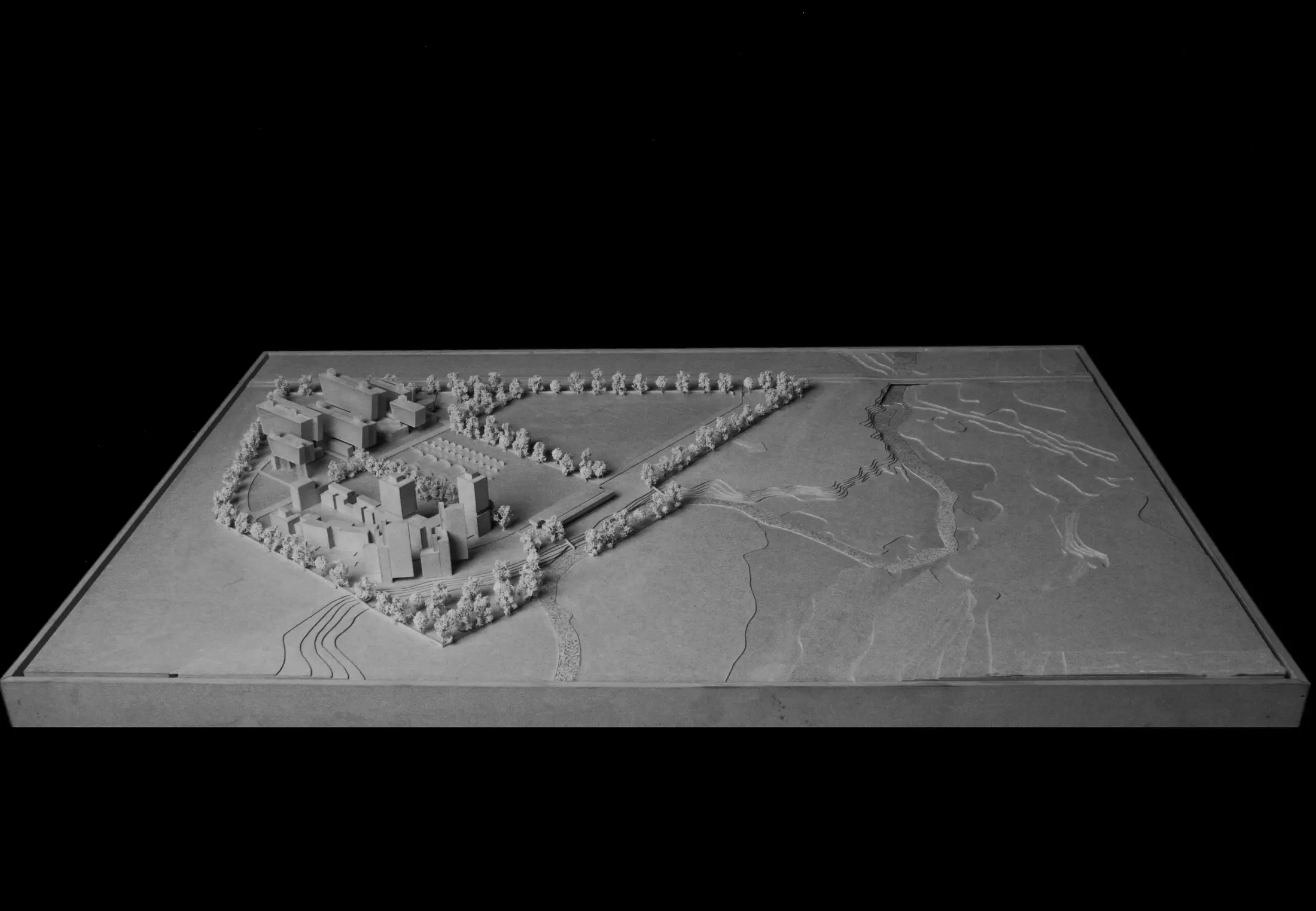 National Agri Food Biotechnology Institute cover image