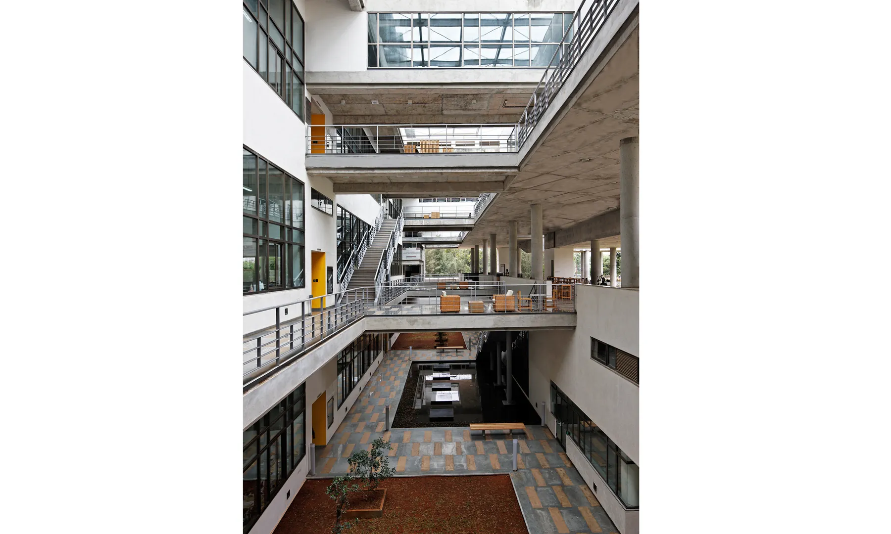 National Centre for Biological Sciences (NCBS), GKVK Campus, Bellary Road, Bengaluru, Karnataka, India — photograph 2 of 7