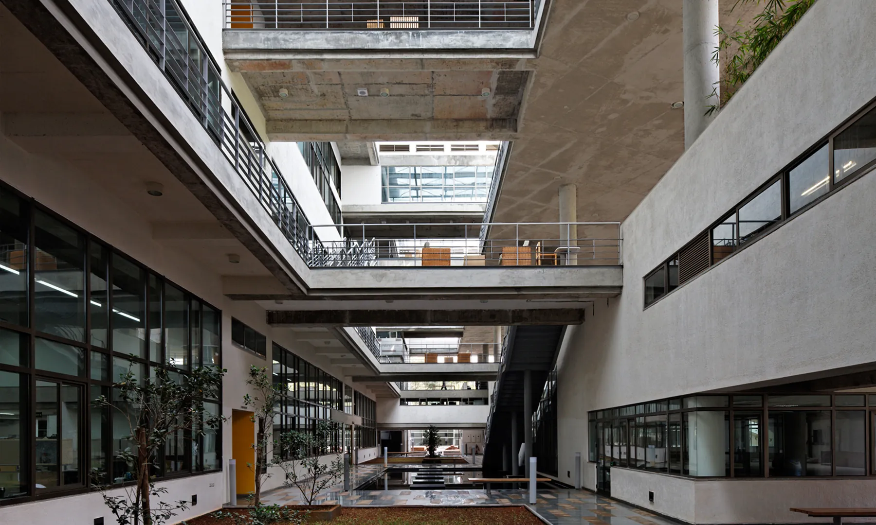 National Centre for Biological Sciences (NCBS), GKVK Campus, Bellary Road, Bengaluru, Karnataka, India — photograph 3 of 7