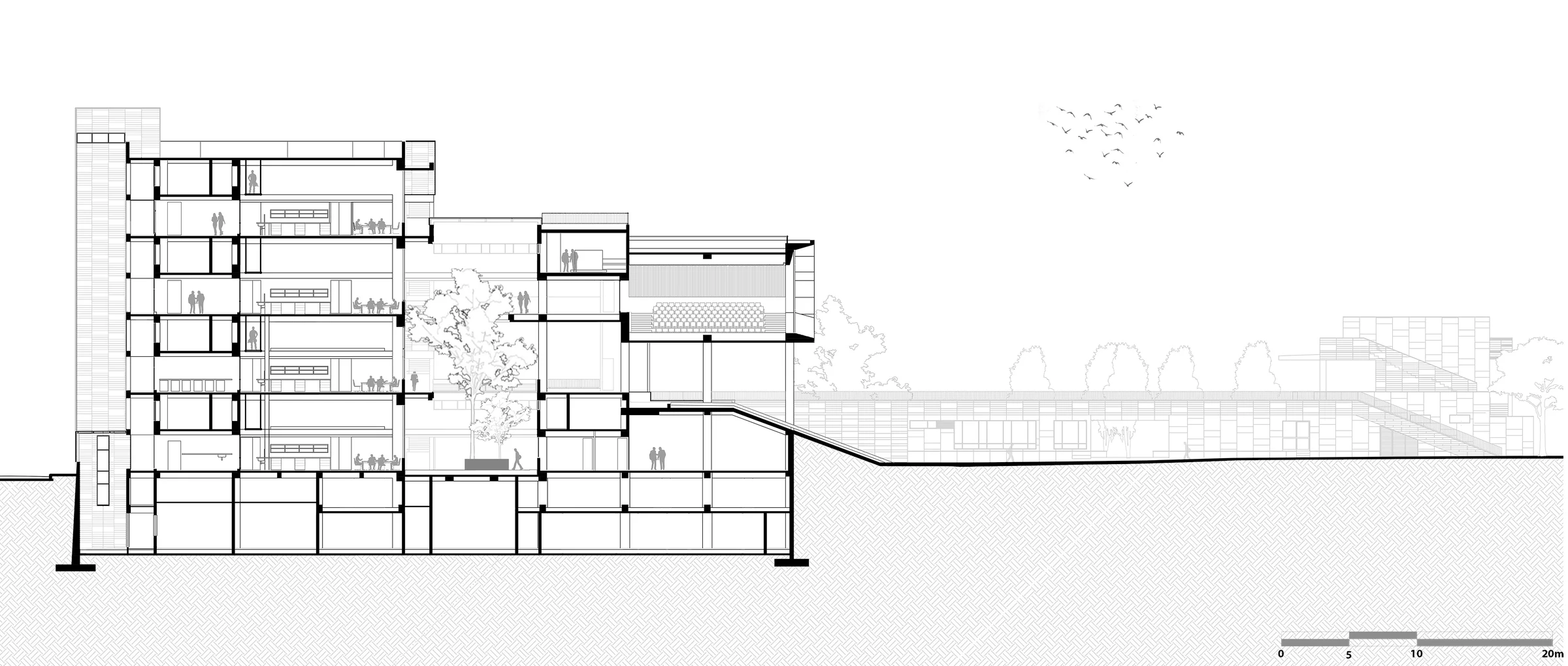 National Centre for Biological Sciences (NCBS) — Cross-section through atrium