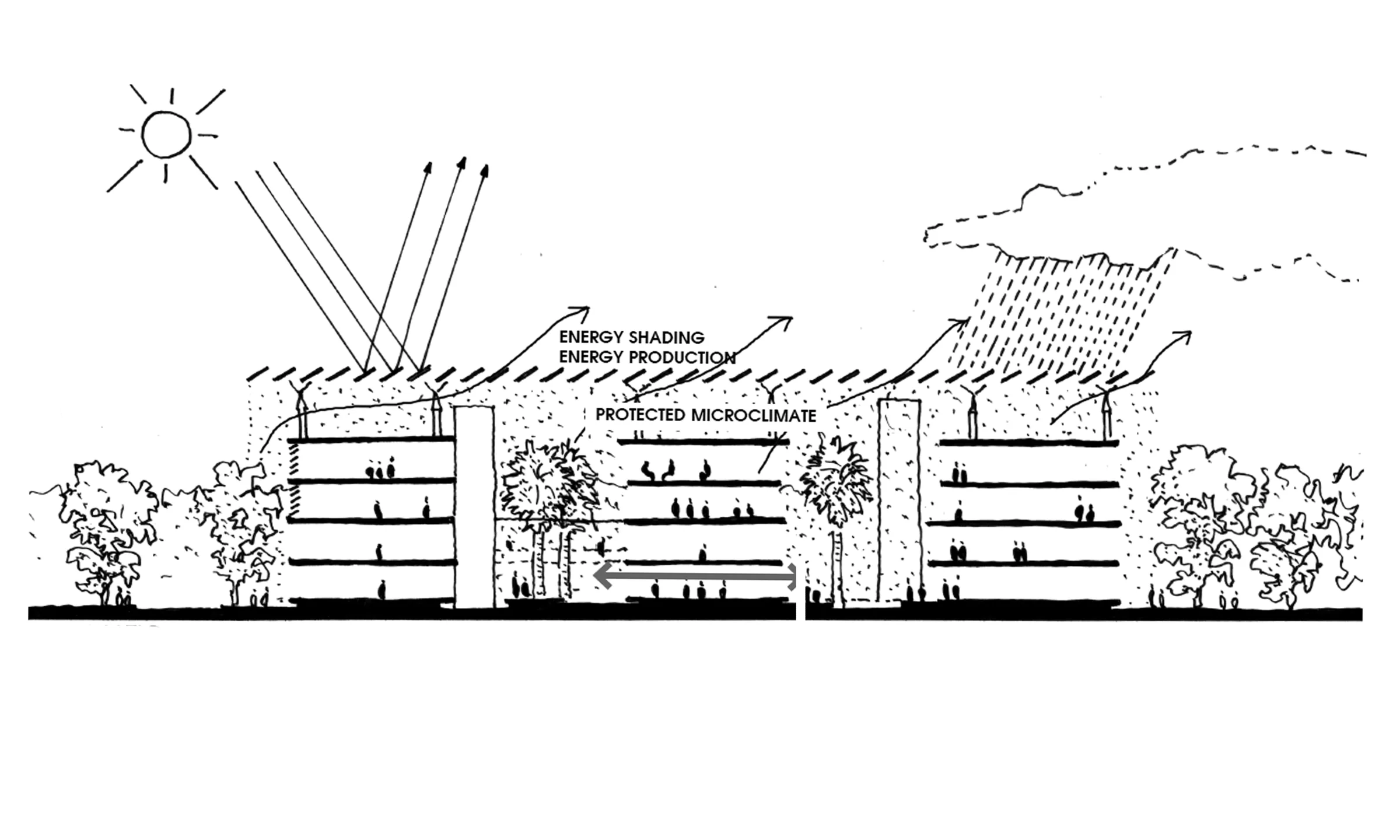 National Centre for Sustainable Coastal Management — Environmental section