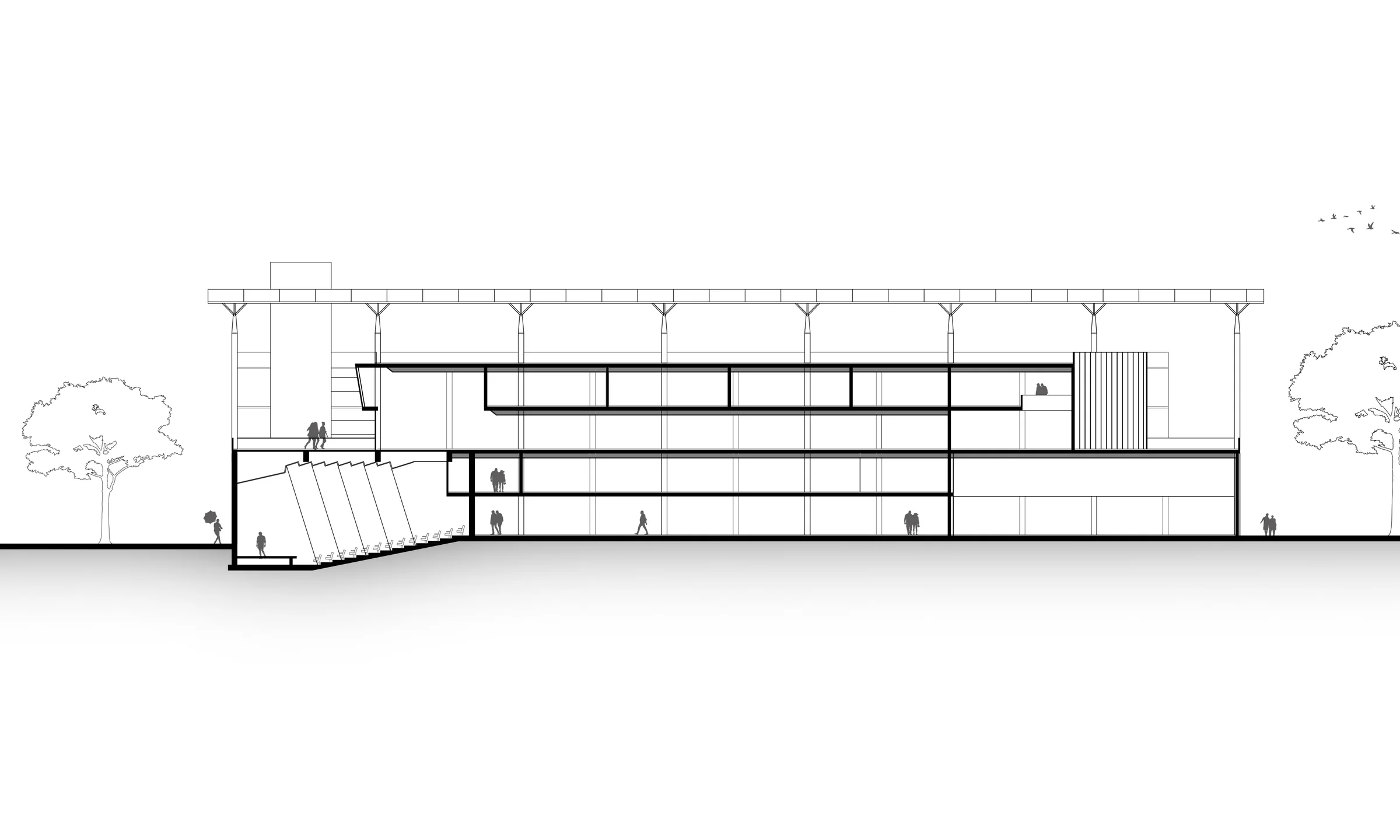 National Centre for Sustainable Coastal Management — Section