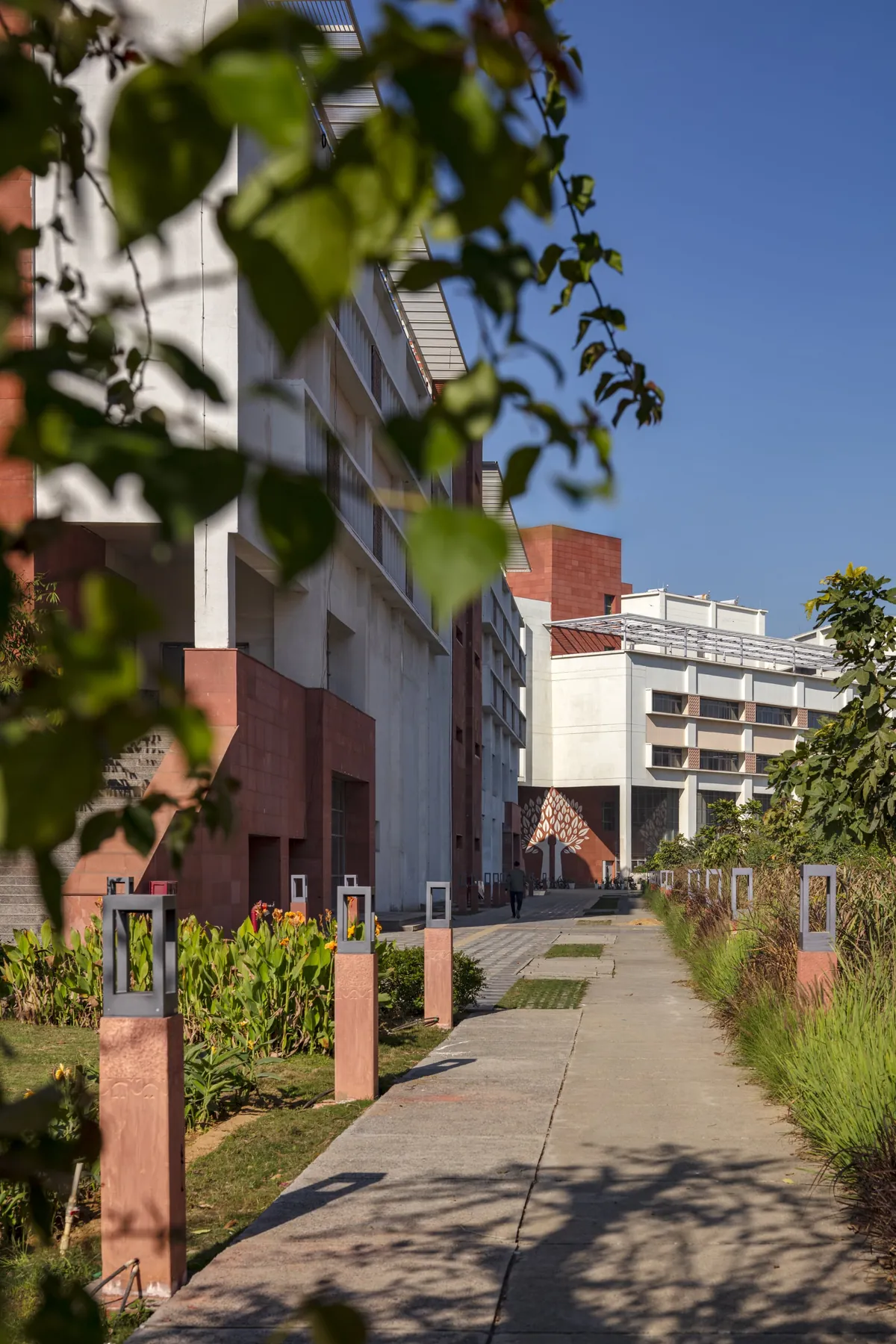 South Asian University, Village Maidangarhi, New Delhi — photograph 14 of 31