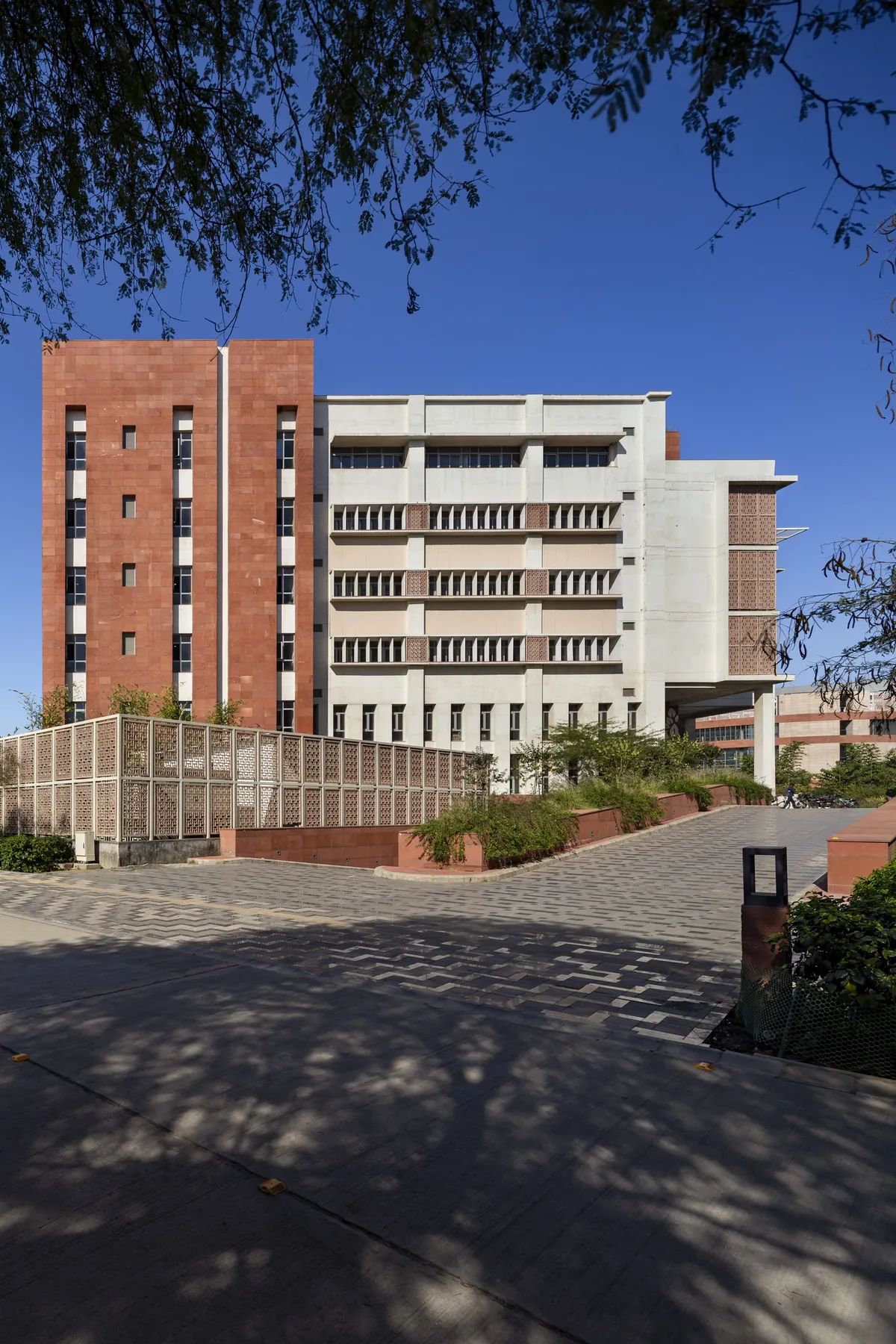 South Asian University, Village Maidangarhi, New Delhi — photograph 15 of 31